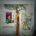 Paula Wilson Photo 8
