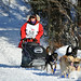 Jessie Royer Photo 8