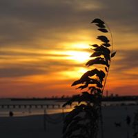 Kay Mize Photo 5